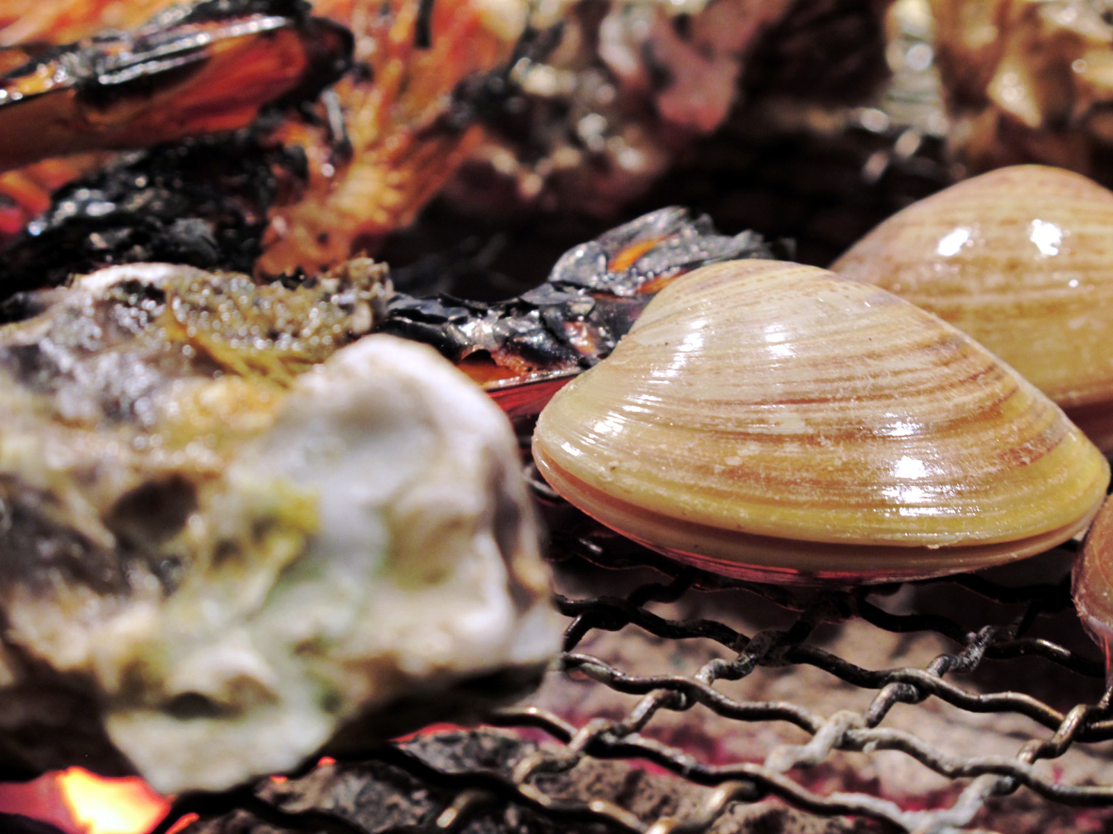 桑名のはまぐりの旬はいつ 食べられるお店は 密漁 桑名蛤の基礎知識 パグレポ
